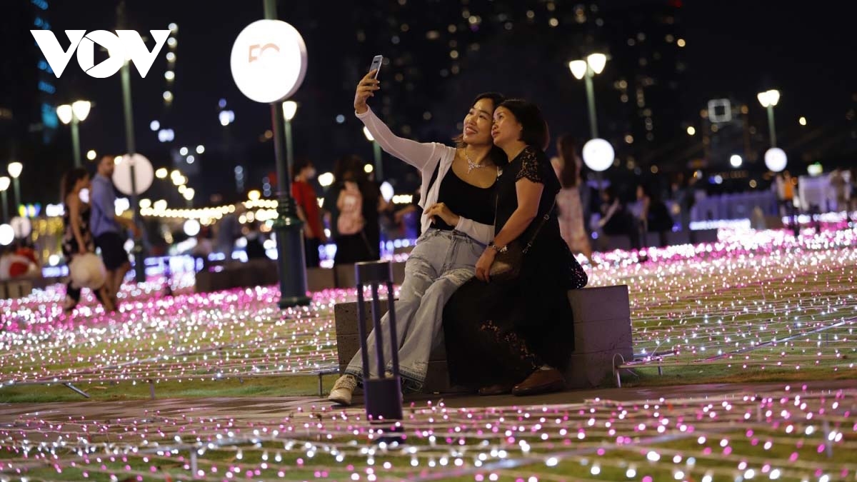 Light art works celebrate Vietnam-Japan diplomatic relations